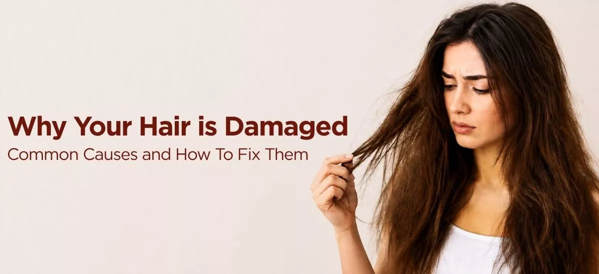 Why Your Hair is Damaged: Common Causes and How To Fix Them