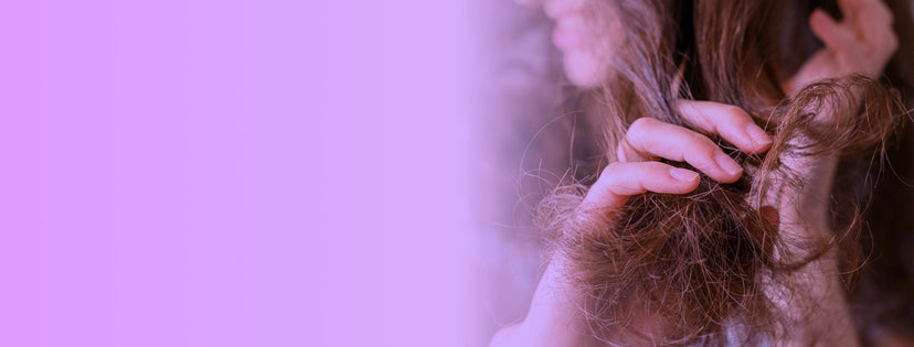 Dry Frizzy Hair collection